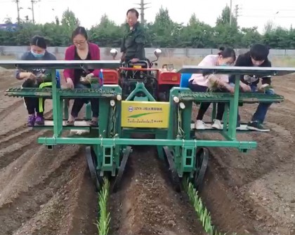 大蔥移栽機