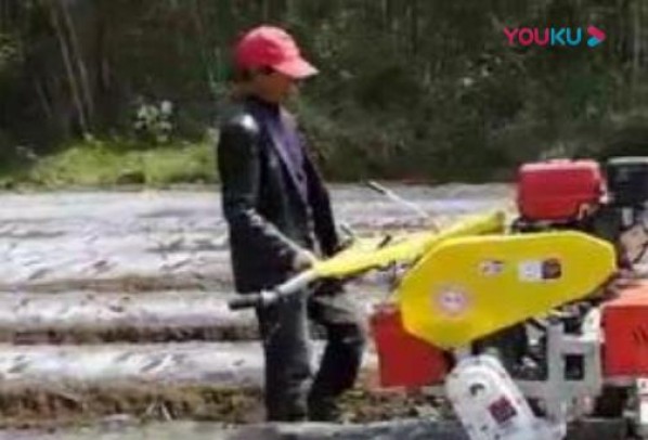 煙草作業視頻