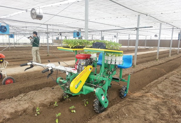西紅柿、甜菜、甘藍移栽機
