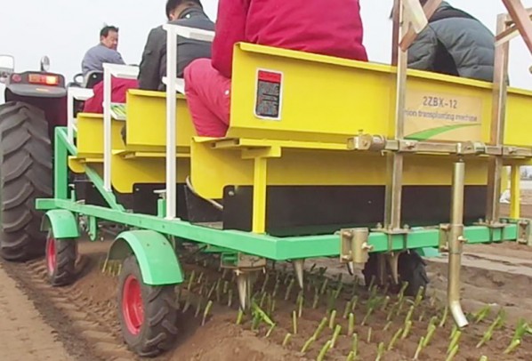 洋蔥移栽機