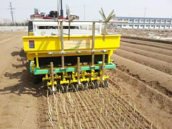 洋蔥移栽機