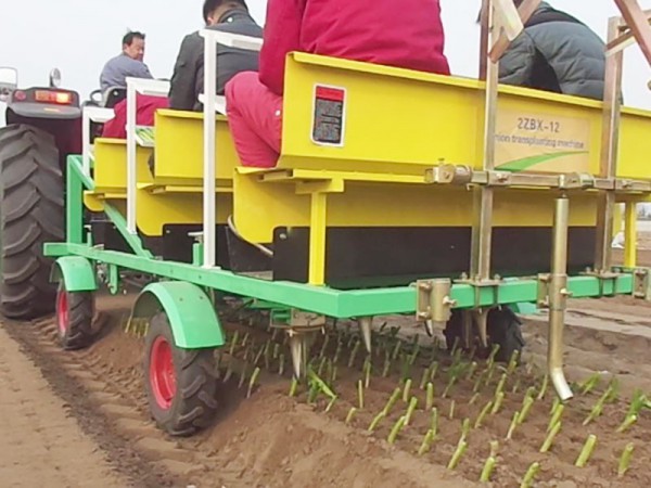 洋蔥移栽機